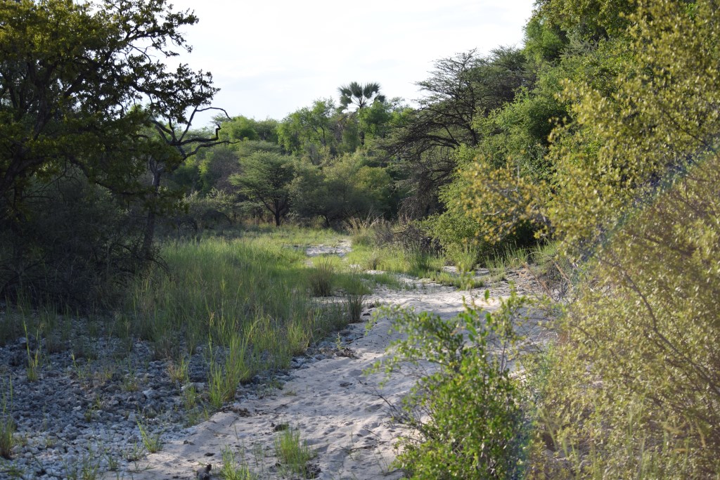 Muramba_Bushmen_trail Muramba_Bushmen_trail